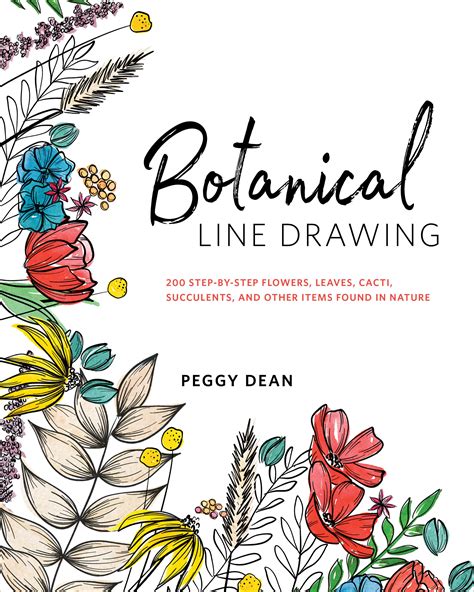 botanical line drawing